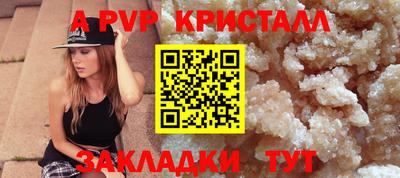 СК Моздок