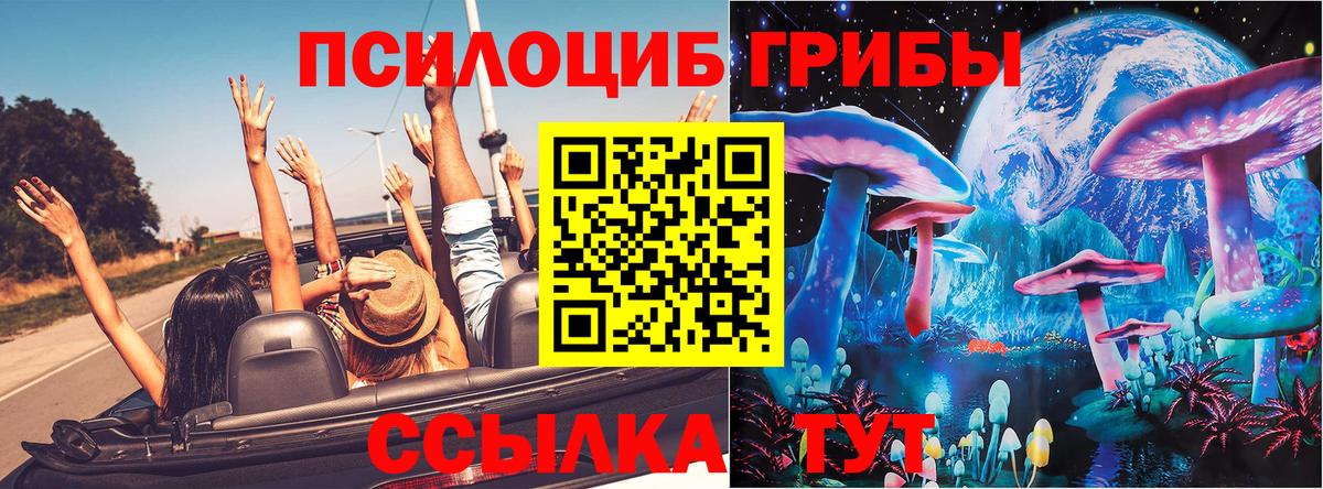 Галлюциногенные грибы мицелий Тимашёвск