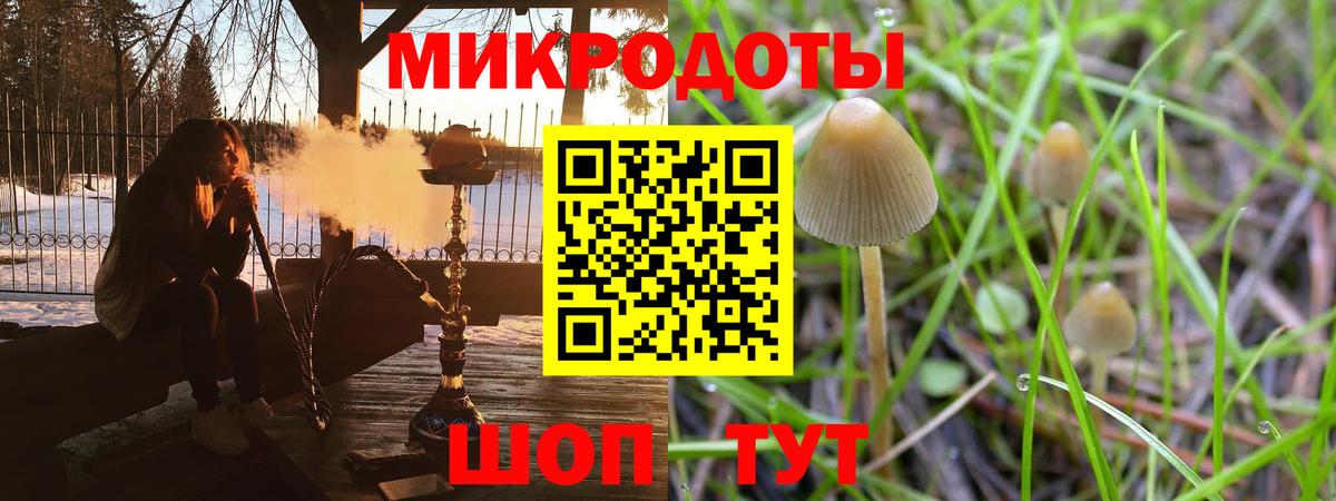 Псилоцибиновые грибы GOLDEN TEACHER  Вход с VPN  Тимашёвск  Галлюциногенные грибы мицелий 